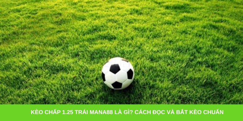 Kèo chấp 1.25 trái Mana88 là gì? Cách đọc và bắt kèo chuẩn